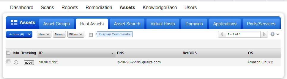 host assets list showing AGENT asset